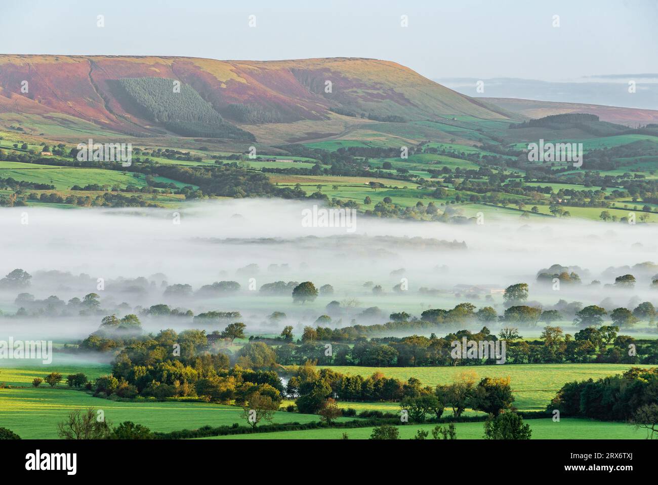 Preston, Lancashire, Regno Unito. 23 settembre 2023. A Morning in the Forest of Bowland, Preston, Lancashire, UK Credit: John Eveson/Alamy Live News Foto Stock