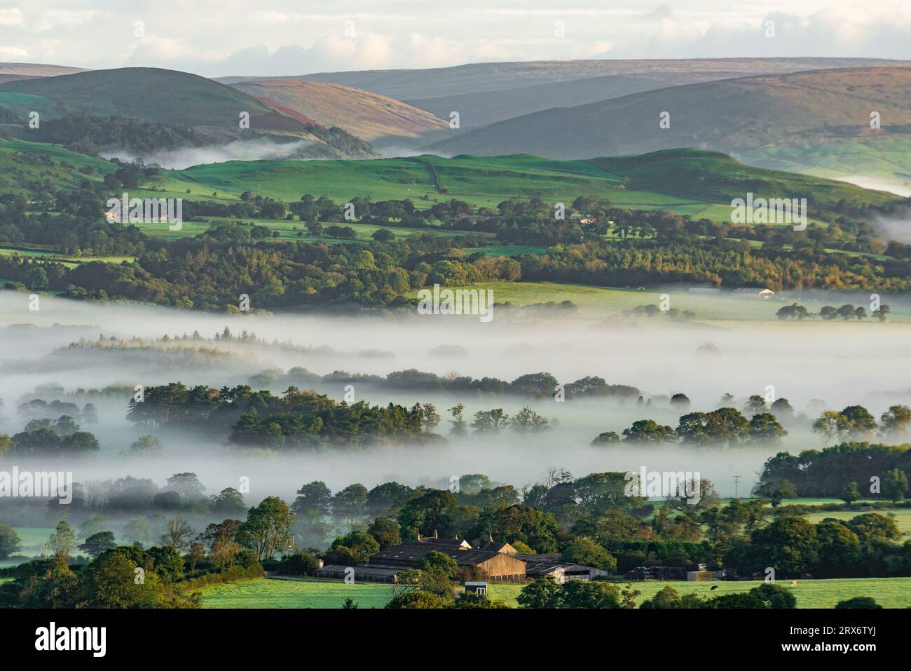 Preston, Lancashire, Regno Unito. 23 settembre 2023. A Morning in the Forest of Bowland, Preston, Lancashire, UK Credit: John Eveson/Alamy Live News Foto Stock