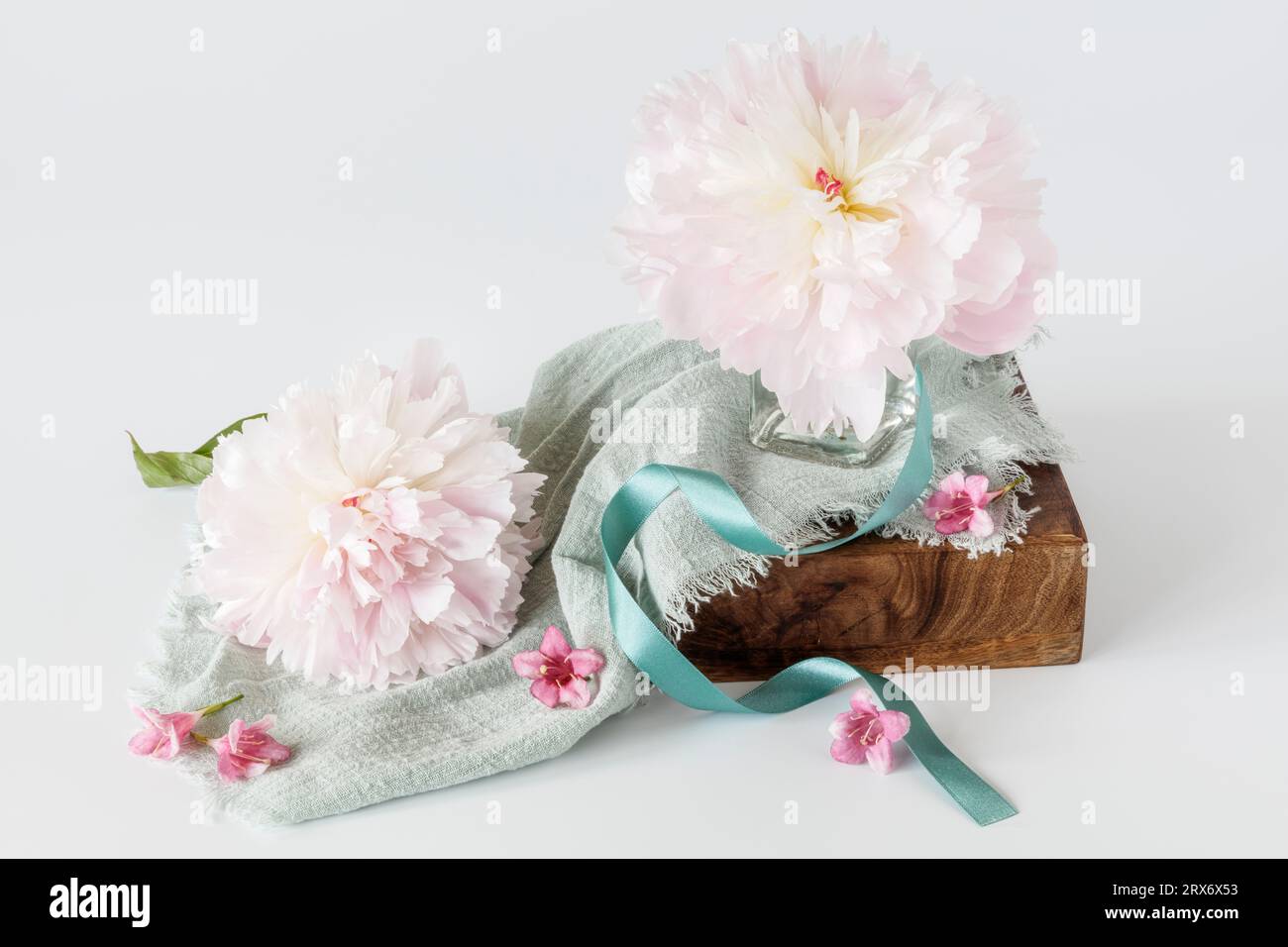 Composizione floreale con due peonie rosa a due teste Foto Stock