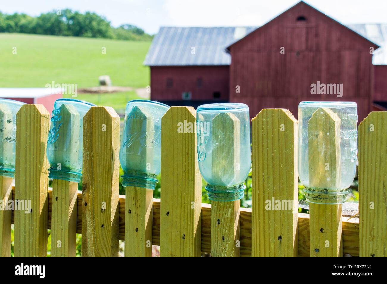 Metodo di sterilizzazione naturale utilizzato da Amish per asciugare i biberon lavati al sole Foto Stock