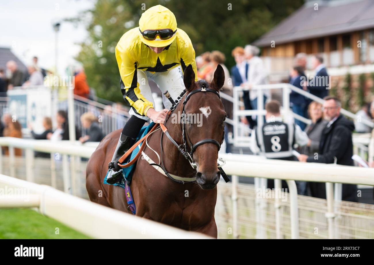 York Racecourse, York, Regno Unito, sabato 23 settembre 2023; York n Racecourse, Yorkshire, Regno Unito, 23 settembre 2023; politico e Rossa Ryan vincono il felice 60° compleanno Angela Clark Nursery Stakes per l'allenatore Charlie Johnston e il proprietario Mr Saeed Bin Mohammed al Qassimi. Crediti: JTW equine Images/Alamy Live News Foto Stock