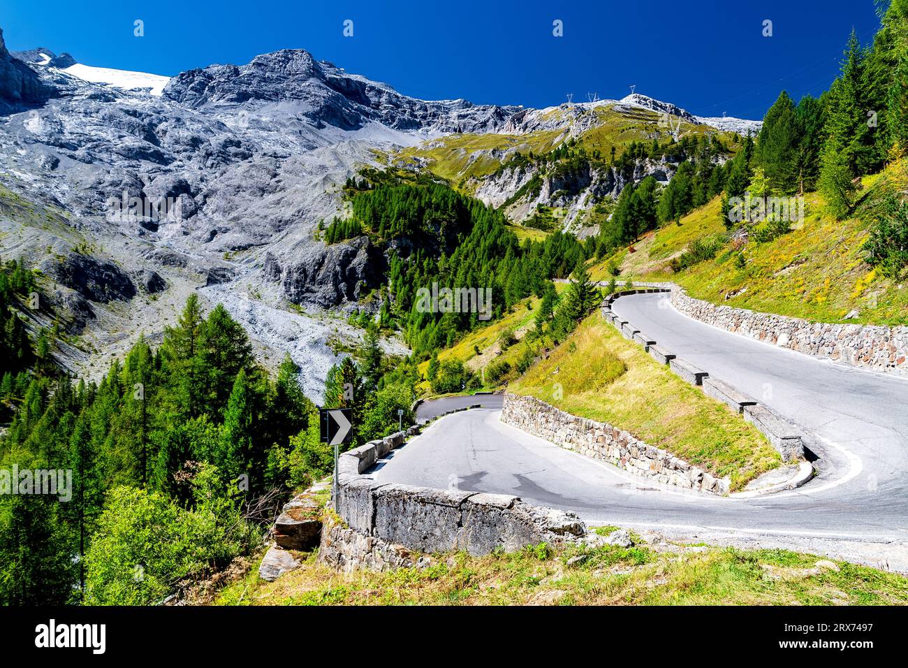 Strada serpentina al passo dello Stelvio in alto Adige, Italia Foto Stock