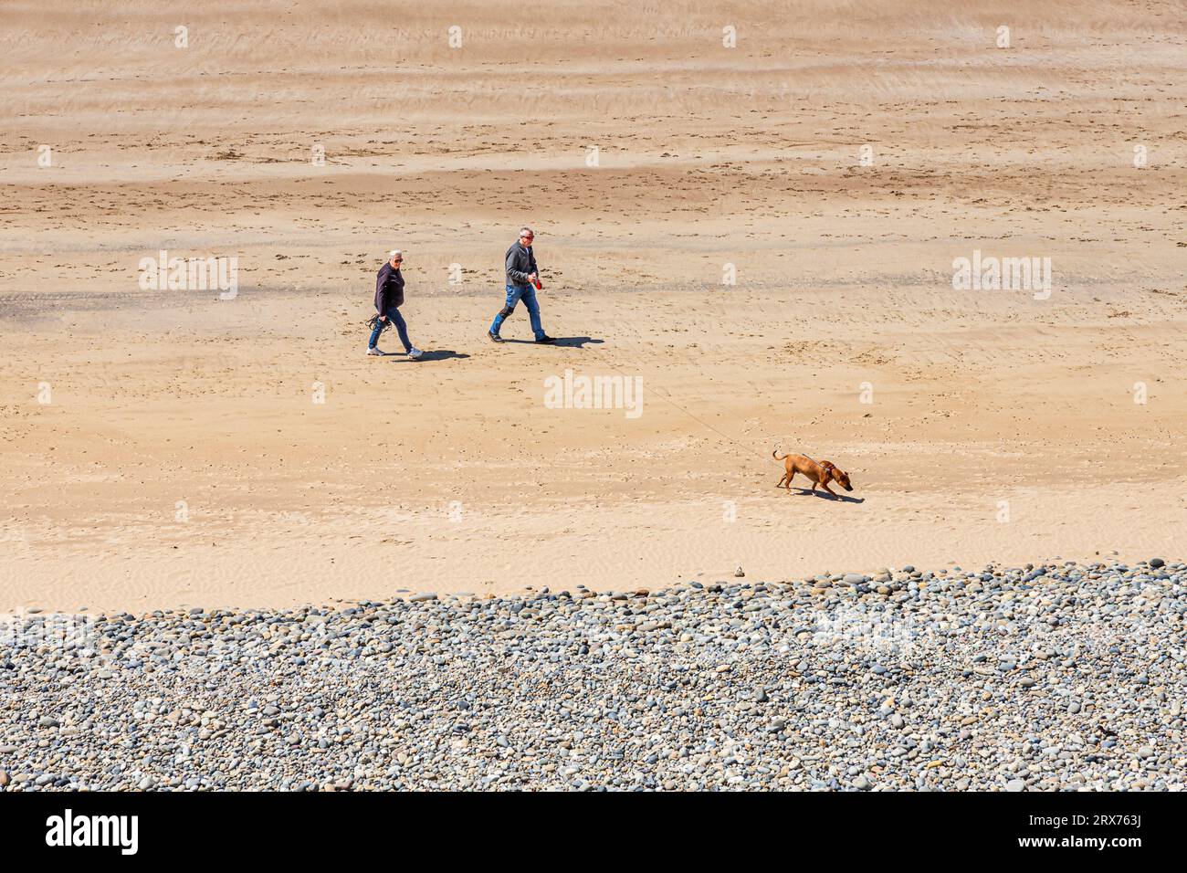 Una coppia di mezza età che cammina con il suo cane sulla spiaggia di Newgale nel Pembrokeshire Coast National Park, West Wales, Regno Unito Foto Stock