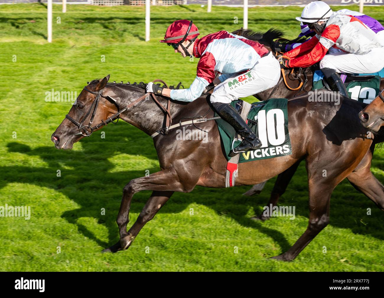 York Racecourse, York, Regno Unito, sabato 23 settembre 2023; Vintage Clarets e il jockey Jack Garritty vincono la gara caratteristica il sabato d'autunno all'Ippodromo di York, la handicap Vickers.bet per l'allenatore Richard Fahey e il proprietario Mr A Tattersall e Partner. Crediti: JTW equine Images/Alamy Live News Foto Stock