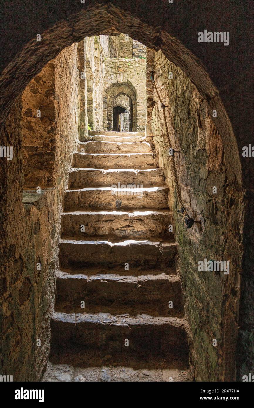 Carew Castle nel Pembrokeshire Coast National Park, West Wales, Regno Unito Foto Stock