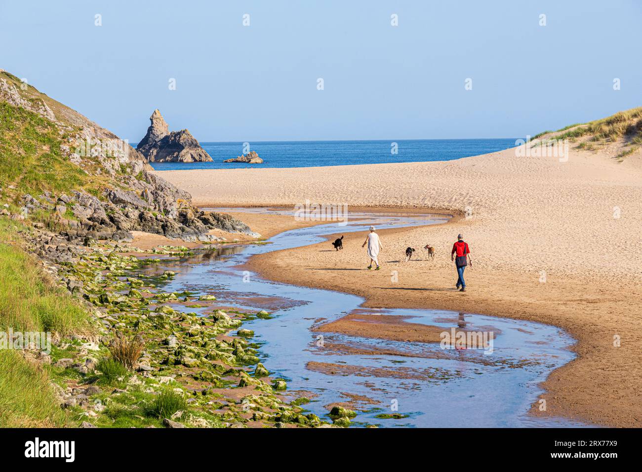 Luce della sera una coppia di mezz'età che cammina con i propri cani verso Church Rock, Broad Haven Beach, Stackpole, Pembrokeshire Coast National Park, West Wales Foto Stock