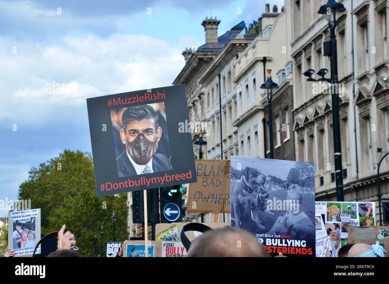 dimostrazione contro il divieto dei bulli xl nel centro di londra whitehall londra 23 settembre 2023 Foto Stock