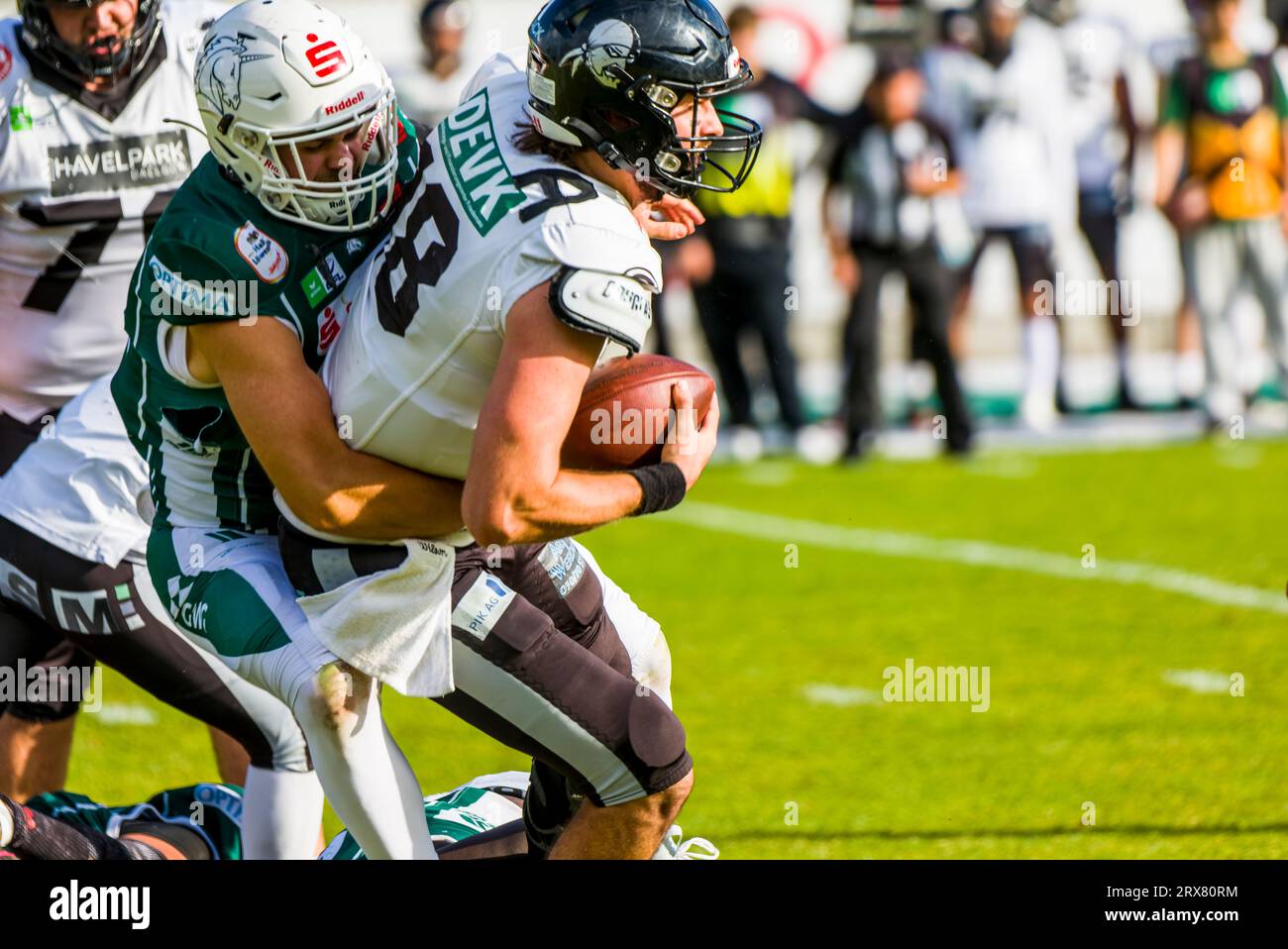 Schwaebisch Hall Germania. 23 settembre 2023. Erima GFL / German Football League,Viertelfinal gioco: Schwäbisch Hall Unicorns - Berlin Rebels nell'Optima Sportpark di Schwaebisch Hall Germania il 23. 2023, Berlin Rebels/ QB # 18 Connor Kaegi ( r) Credit: Frank Baumert/Alamy Live News Foto Stock