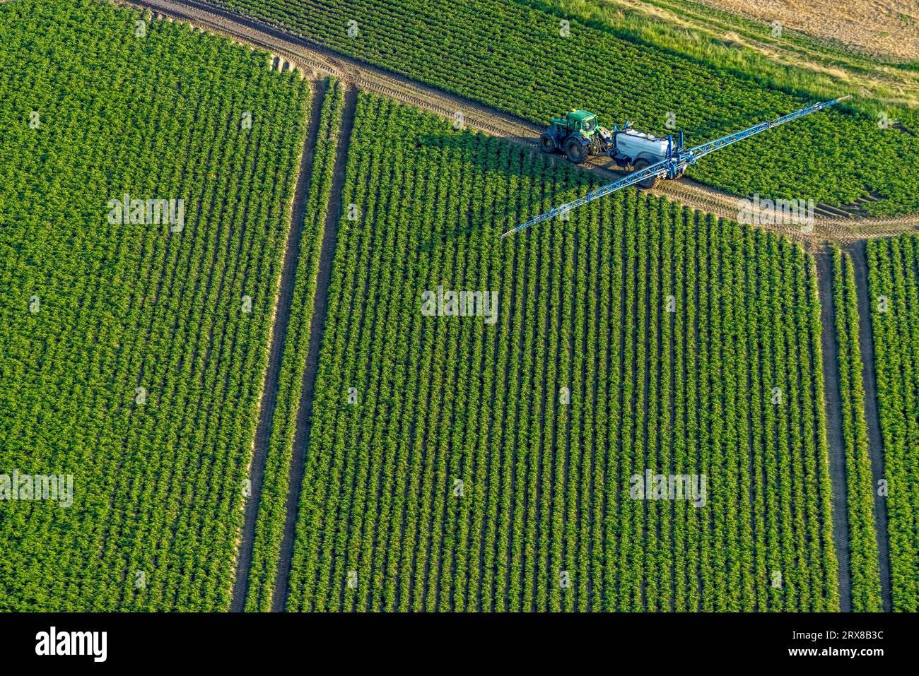 Vista aerea, lavori sul campo con macchine agricole, campi di irrorazione, Sönnern, Werl, Werl-Unnaer Börde, Renania settentrionale-Vestfalia, Germania, Agricoltura Foto Stock
