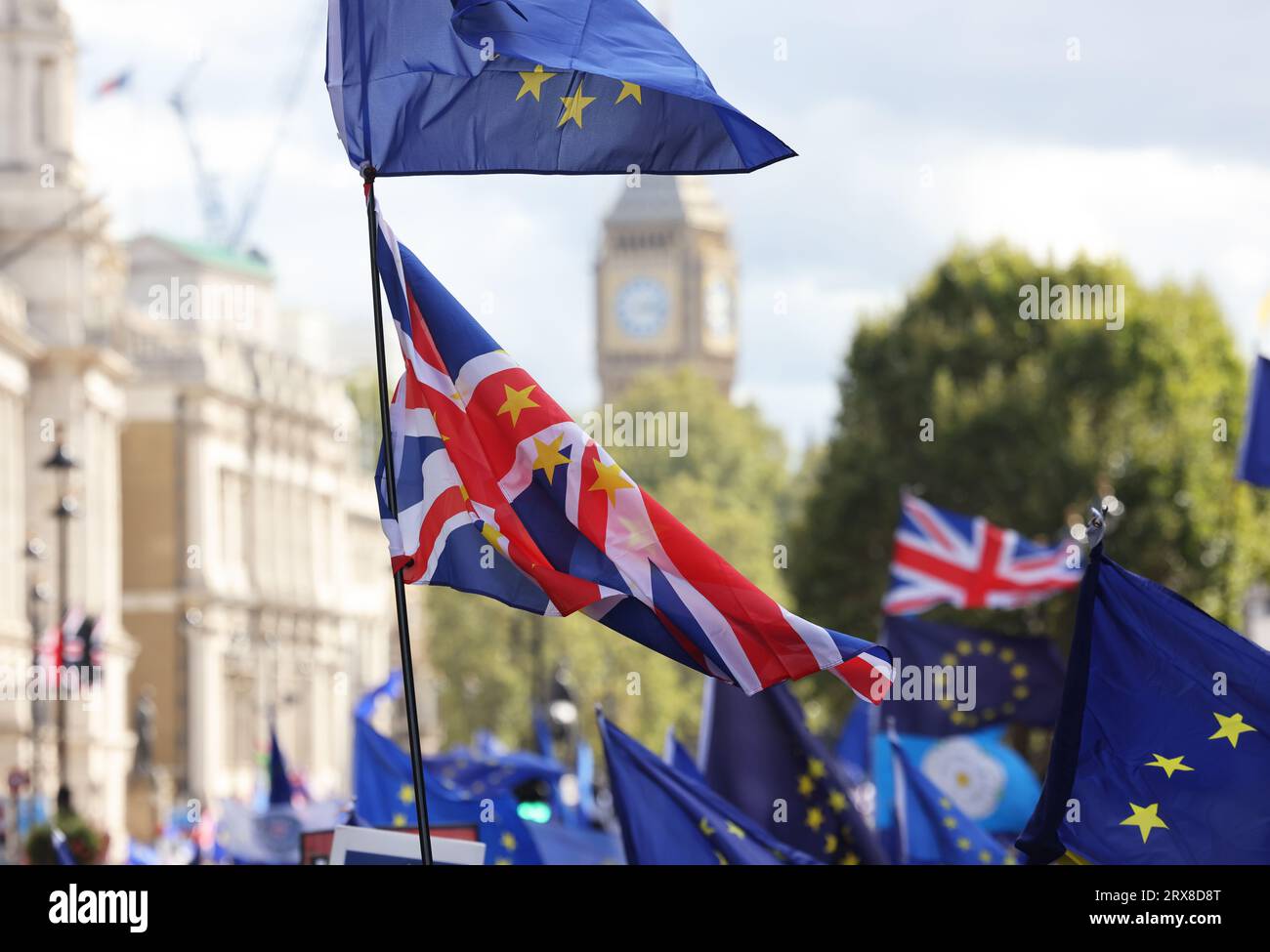 Londra, Regno Unito. 23 settembre 2023. I sostenitori pro-UE si sono Uniti alla marcia di ricongiungimento nazionale mentre la campagna per ricongiungersi all'Unione europea raccoglie forza. Furono lanciati cartelli e bandiere provenienti da tutta la Gran Bretagna e l'Europa. Credito : Monica Wells/Alamy Live News Foto Stock