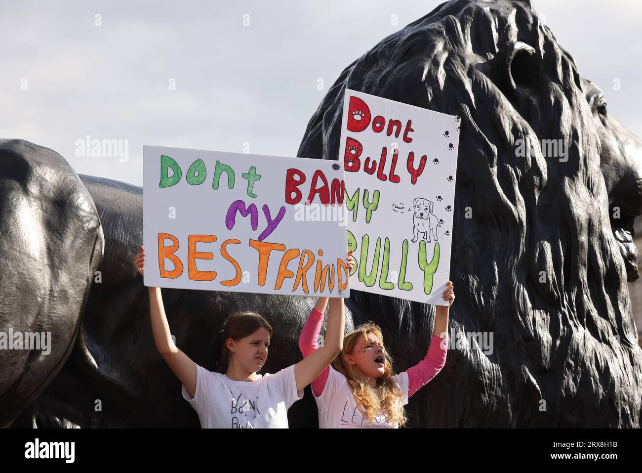 Londra, Regno Unito, 23 settembre 2023. I manifestanti si sono riuniti oggi a Trafalgar Square, Londra per protestare contro l'annuncio di Rishi Sunak di questa settimana che i cani bullo XL saranno vietati a seguito di una serie di attacchi. Credito : Monica Wells/Alamy Live News Foto Stock
