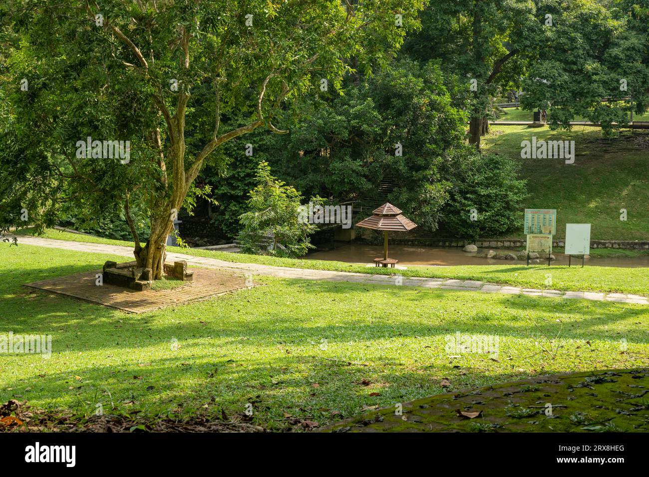 I Giardini Botanici di Penang, Pulau Pinang, Malesia Foto Stock