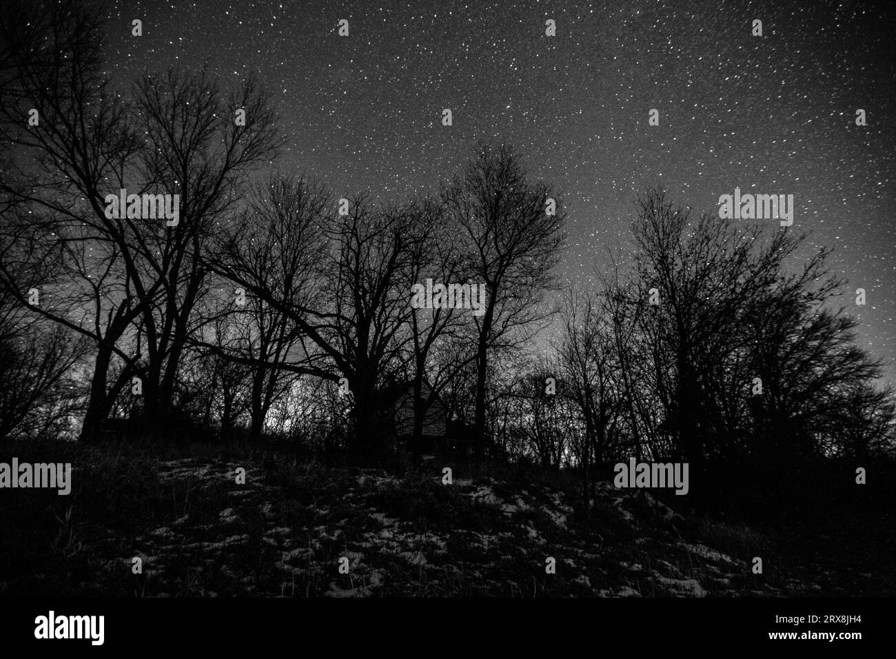 Casa infestata dai fantasmi nascosta in una fossa di alberi sotto un cielo pieno di stelle, resa in bianco e nero scintillante. Foto Stock