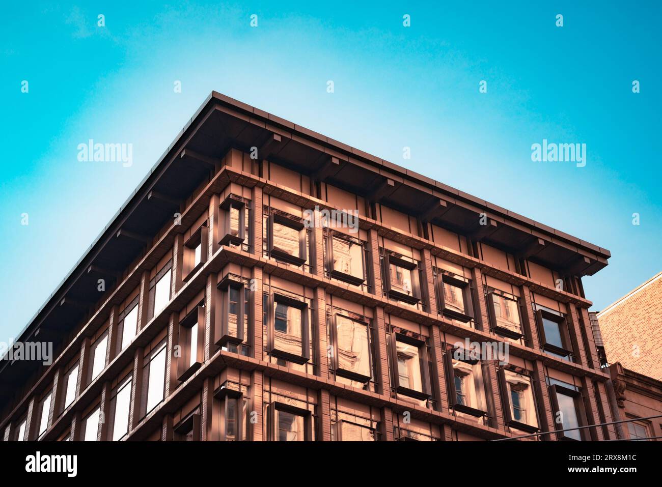 Dettagli ornamentali dell'edificio storico visti da New York City Foto Stock
