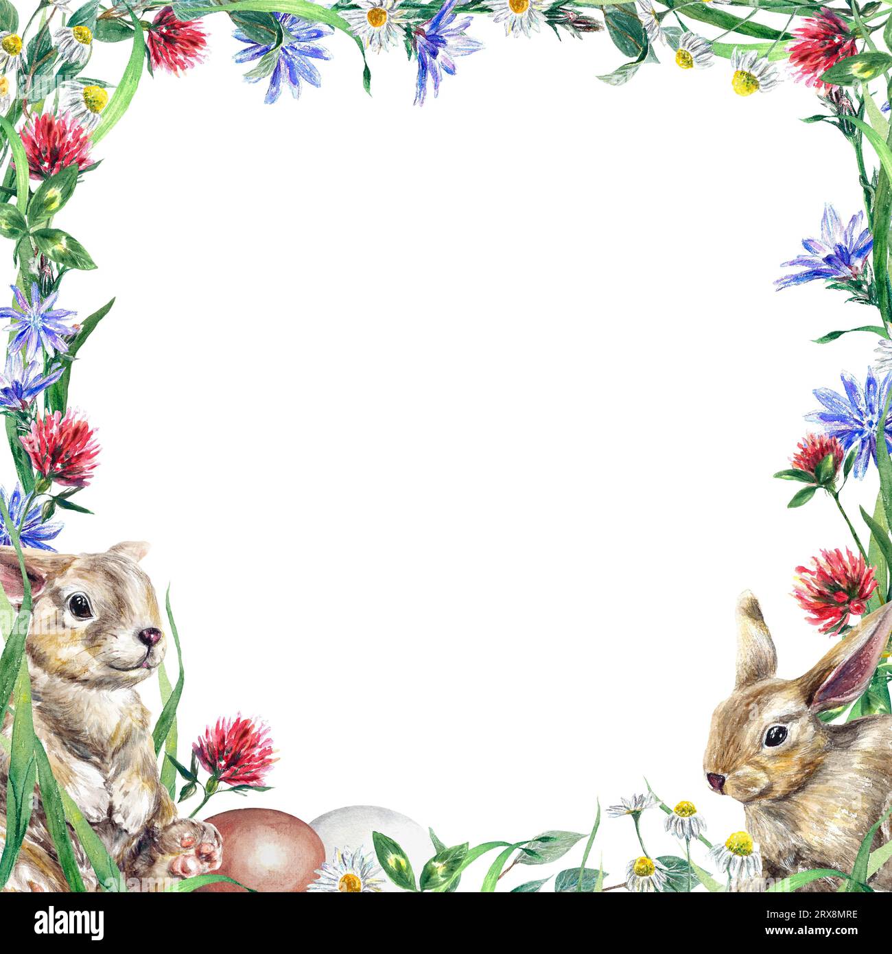 Cornice quadrata di fiori selvatici, coniglio e uova. Illustrazione ad acquerello su tema pasquale isolato su sfondo bianco. Biglietti d'auguri, inviti. Foto Stock