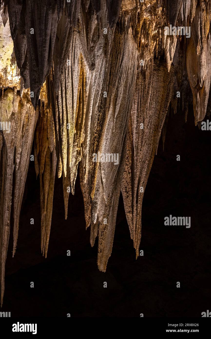 Tonalità d'oro e d'argento del lampadario nel Carlsbad Caverns National Park Foto Stock