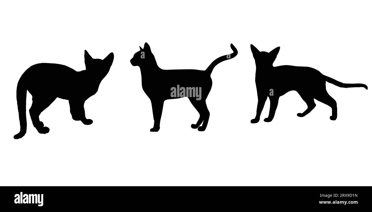 Silhouette Cat arte vettoriale, silhouette gatto disegnata a mano Illustrazione Vettoriale
