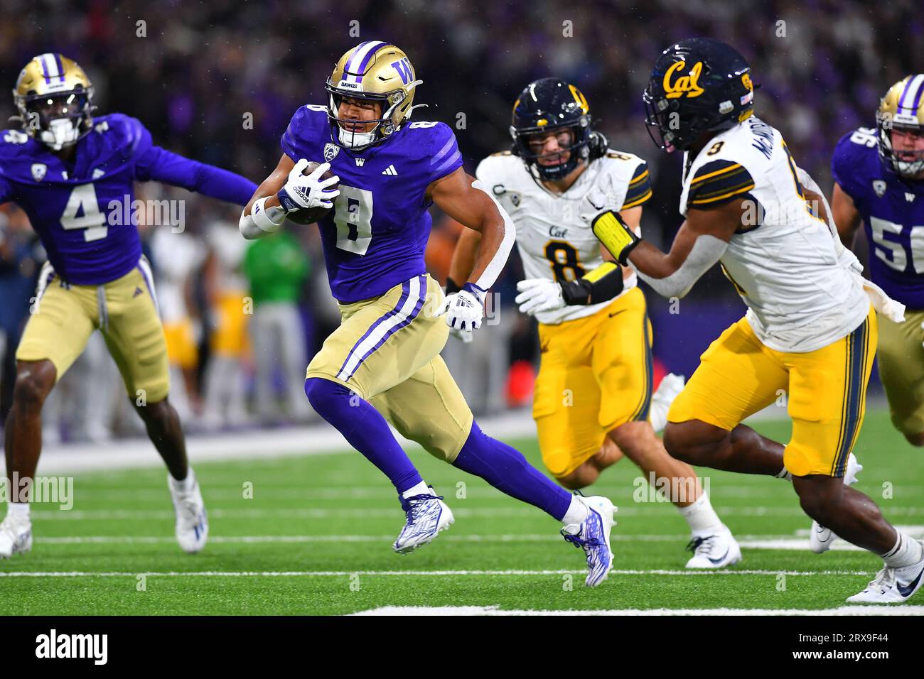 Seattle, Washington, USA. 23 settembre 2023. Il running back dei Washington Huskies Will Nixon (8) rompe una lunga corsa durante la partita di football NCAA tra i Cal Bears e i Washington Huskies all'Husky Stadium di Seattle, WA. Steve Faber/CSM/Alamy Live News Credit: Cal Sport Media/Alamy Live News Foto Stock