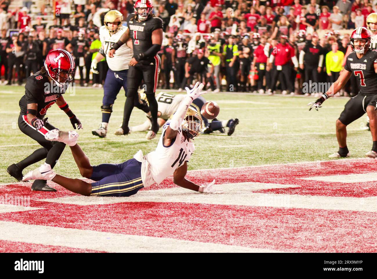 Bloomington, USA. 23 settembre 2023. BLOOMINGTON, INDIANA - 23 SETTEMBRE: Il wide receiver Akron Zips Jasaiah Gathings (14) lascia un passaggio ai supplementari per dare la vittoria all'Indiana University durante una partita di football NCAA contro l'Indiana University il 23 settembre 2023 a Bloomington, Indiana. IU ha vinto 29-27 ai supplementari. ( Credit: Jeremy Hogan/Alamy Live News Foto Stock