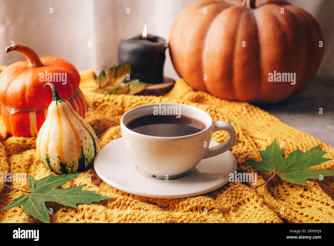Zucche arancioni, tazza di caffè e candela su maglione giallo. Natura morta autunnale, Halloween o Ringraziamento. Foto Stock