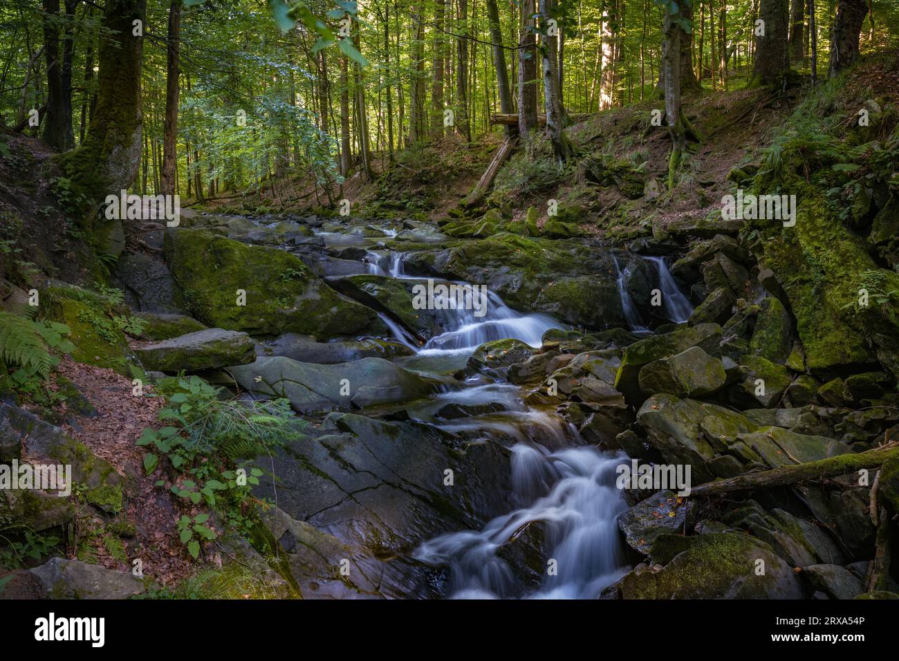 Cascata di Szepit, torrente Hylaty, Monti Bieszczady, Parco Nazionale Bieszczadzki, la regione più selvaggia della Polonia, montagne polacche e paesaggi Foto Stock