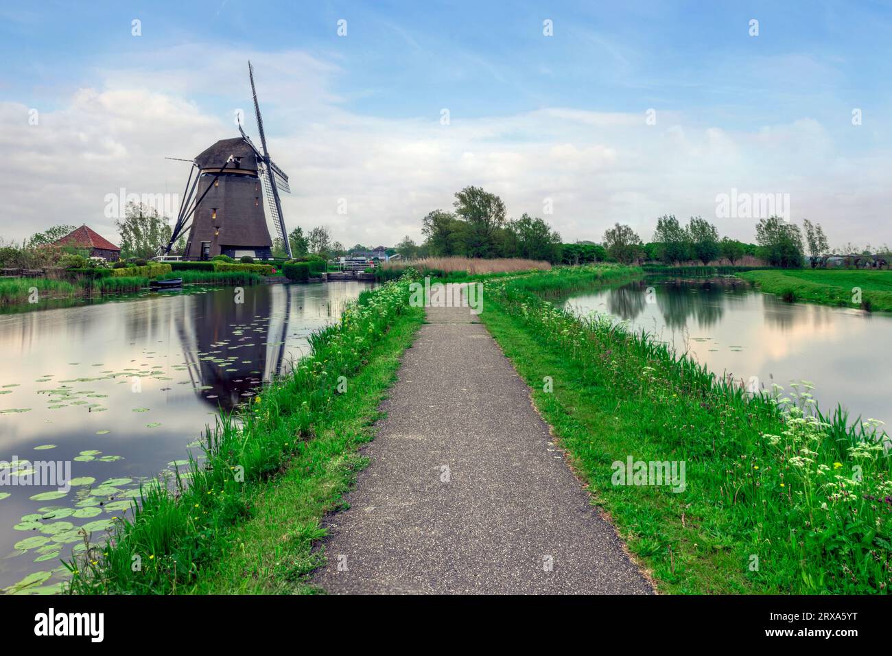Polder Windmill nell'Olanda meridionale, Paesi Bassi Foto Stock