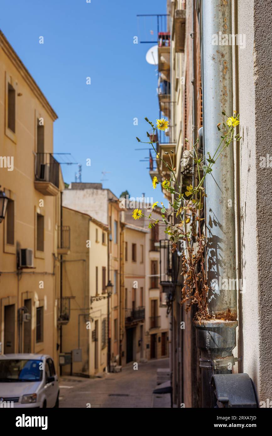 L'antica città di Salemi sull'isola di Sicilia, Italia Foto Stock