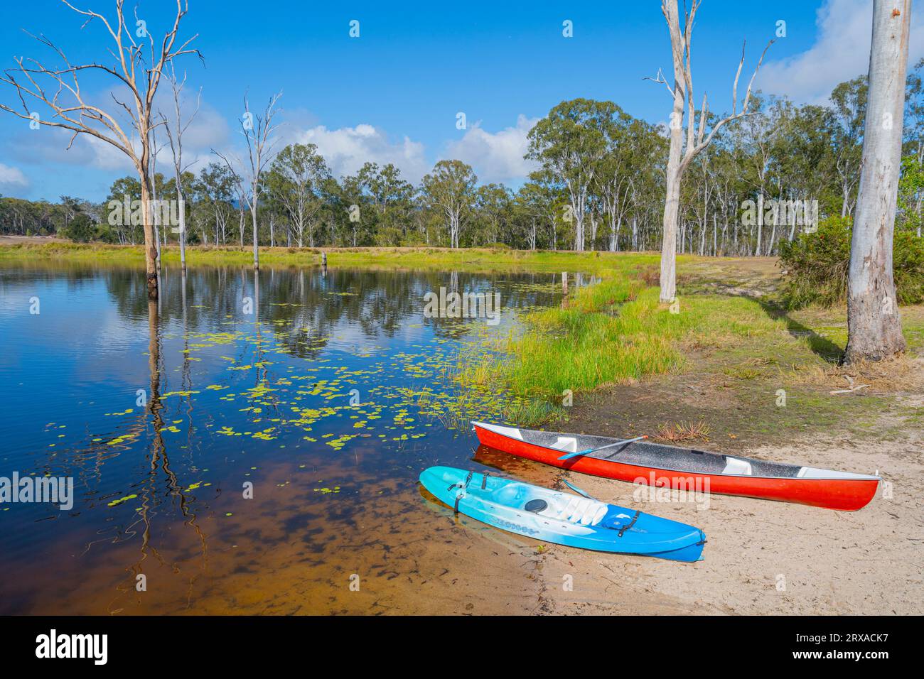 Kayak sulla spiaggia sabbiosa della diga d'acqua dolce in molo con pontone nelle giornate di sole presso il campeggio rurale. Childers Queensland, Australia Foto Stock