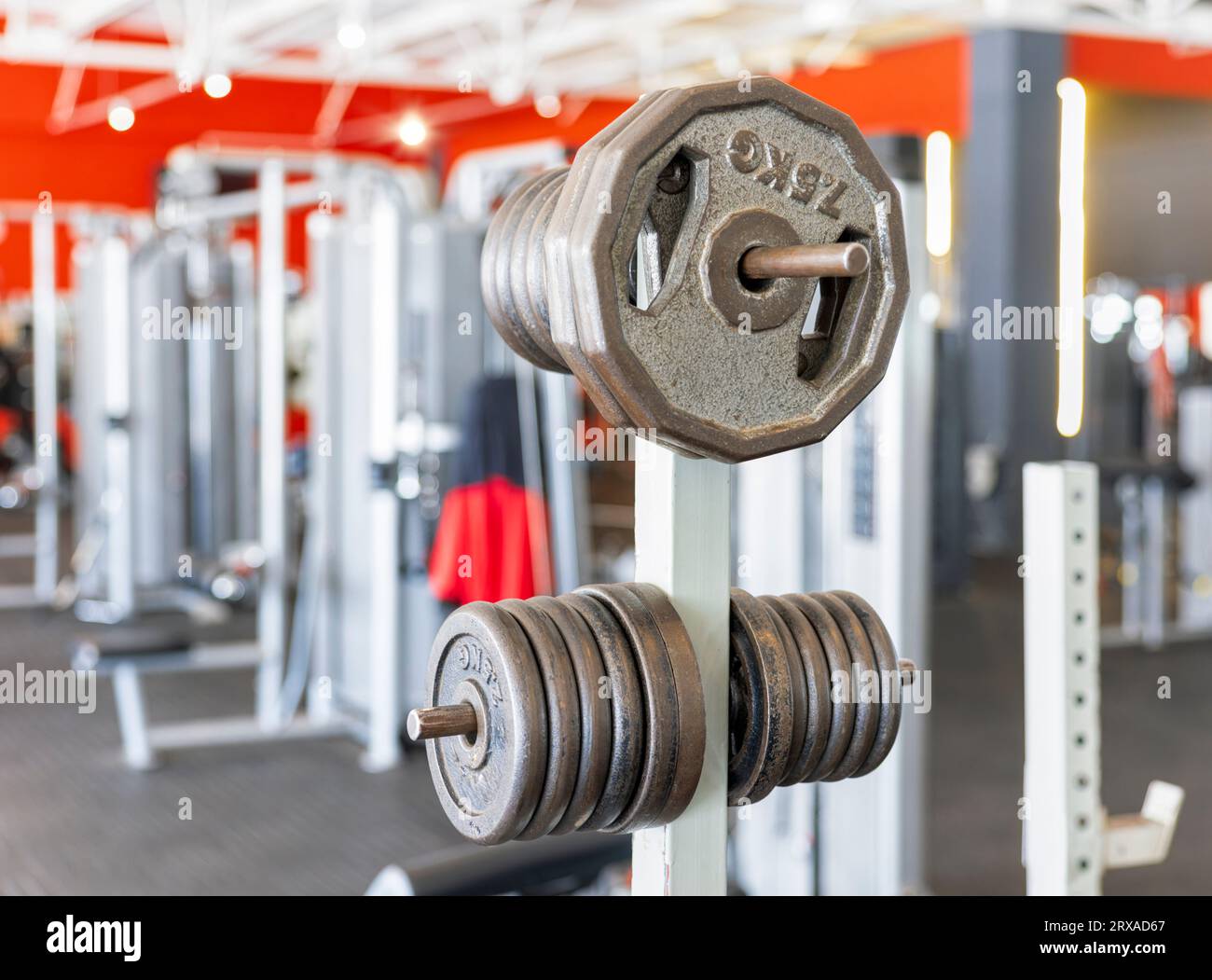 i pesi in palestra nella hall sullo stand, l'allenamento di forza o la resistenza comportano l'esecuzione di esercizi fisici progettati per imp Foto Stock