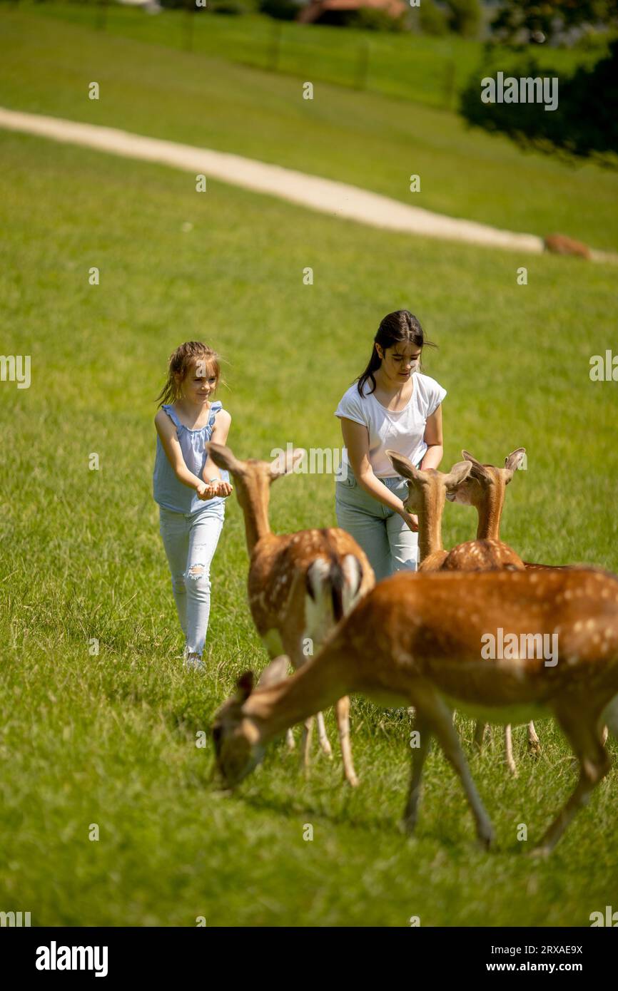 Due graziose bambine tra le mandrie di renne nella giornata di sole Foto Stock
