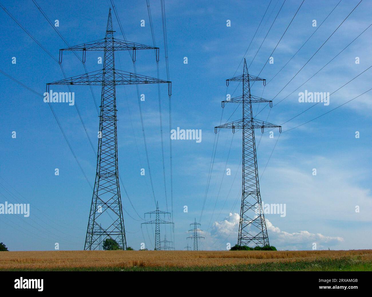 Tralicci elettrici sul campo, linee elettriche, linee aeree, linee di alimentazione, elettrosmog, inquinamento ambientale, alta tensione, piloni elettrici, energia Foto Stock