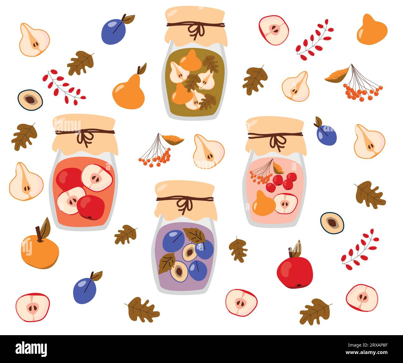 composta fatta in casa - vasetto con bevanda di mela e pera Illustrazione Vettoriale