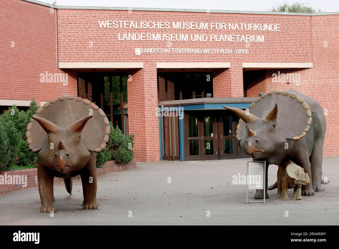 Sculture di Triceratops di fronte al Museo di storia naturale, Munster, Renania settentrionale-Vestfalia, Germania, dinosauri Foto Stock