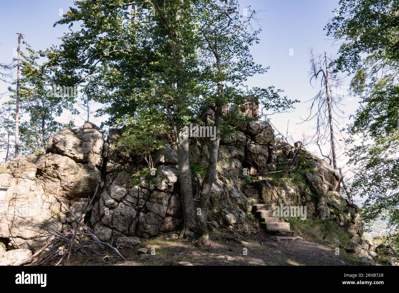 DAS Hauptmotiv die Felsformation Elfenstein liegt etwas im Hintergrund des Bildes., IM Vordergrund und und auch im Hintergrund sind Bäume, Baumstämme Foto Stock
