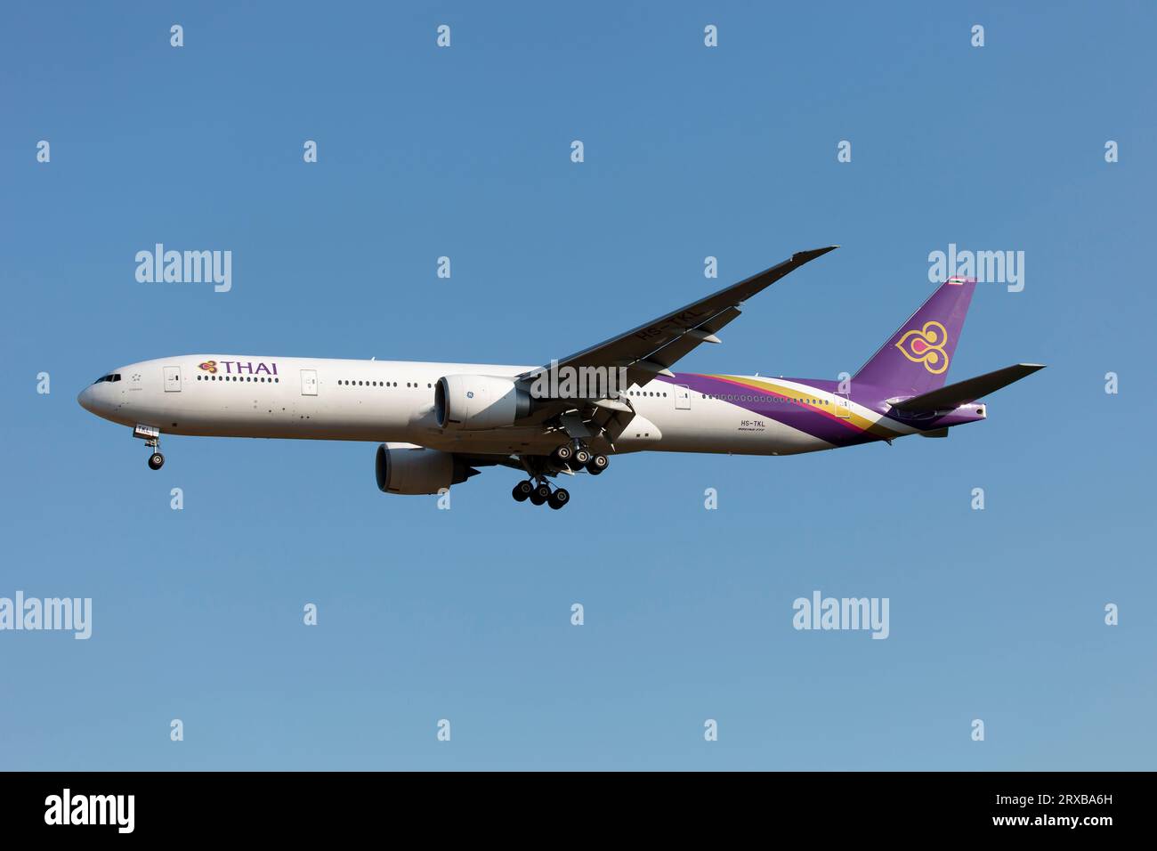 Un Boeing 777-300ER Thai Airways atterra all'aeroporto internazionale Rhein-Main di Francoforte. Thai Airways International è la compagnia di bandiera della Thailandia. Fondata nel 1961, la compagnia ha la sua sede centrale a Bangkok e opera principalmente dall'aeroporto di Suvarnabhumi. THAI è un membro fondatore della Star Alliance. Foto Stock