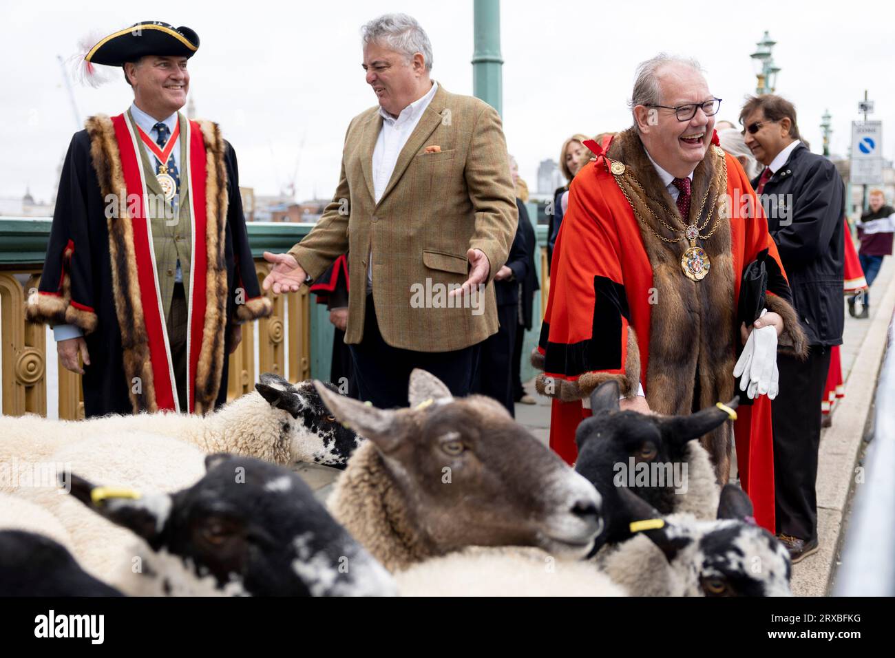 Richard Corrigan (C), un noto chef irlandese, viene visto guidare le pecore attraverso il Southwark Bridge con il sindaco Vincent Keaveny (L) e Sir Andrew Parmley come Lord sindaco Locum Tenenshe e gli sceriffi della City of London (R) e altri uomini liberi della città di Londra. Il decimo anniversario del London Bridge Sheep Drive e della Livery Fair si è svolto il 24 settembre 2023 sul Southwark Bridge. Richard Corrigan, un noto chef irlandese, si unì a Lord Mayor Vincent Keaveny e ad oltre 1.000 uomini della città di Londra mentre esercitavano il loro antico diritto di guidare pecore a pagamento su London Bridges. La Foto Stock