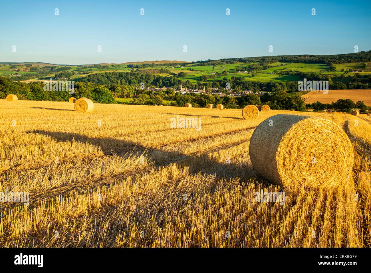 Balle di grano tondo con l'ex villaggio di tessitura dei merletti di Darvel, nell'Ayrshire orientale, visibile sullo sfondo. Foto Stock