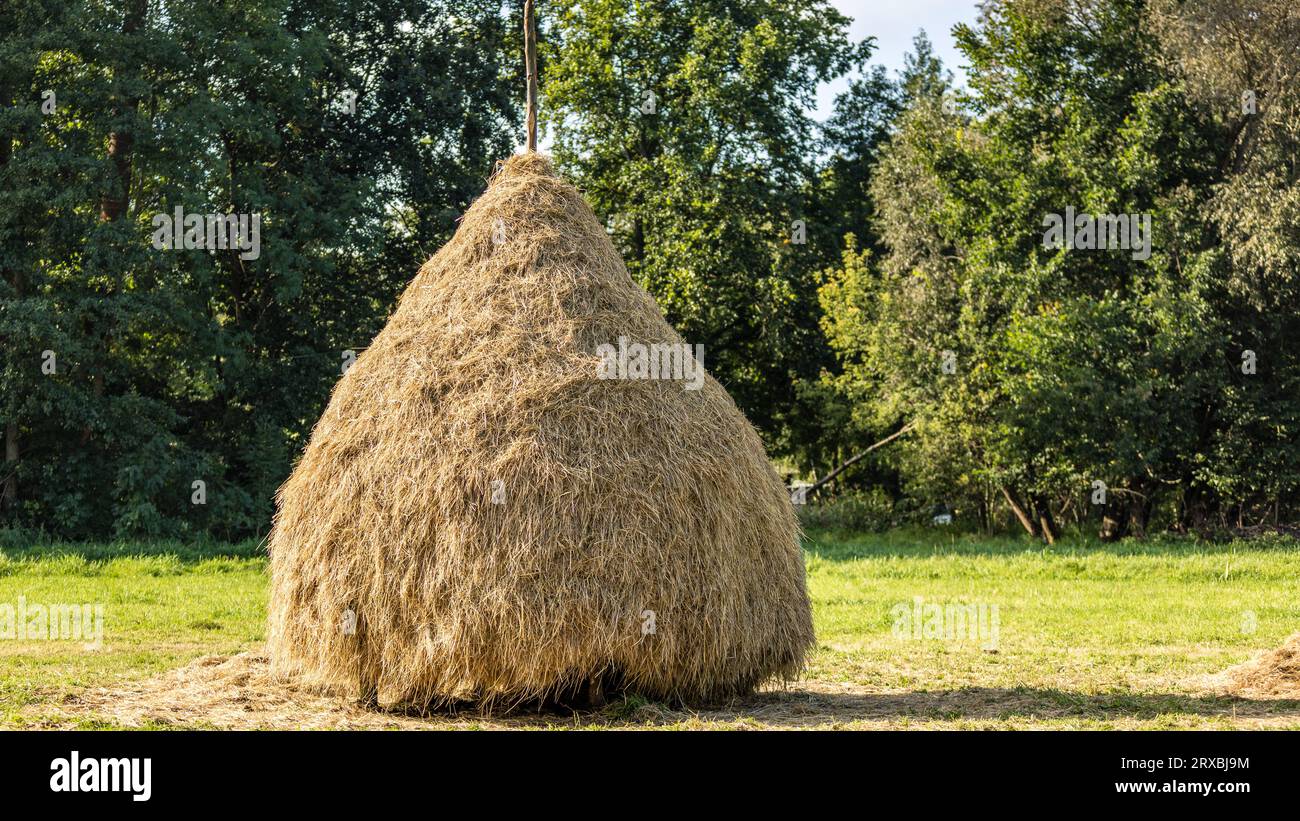 24 settembre 2023, Brandeburgo, Lübbenau/OT Lehde: Un pagliaio si trova all'ingresso del villaggio di Lehde, dove questo fine settimana si terrà il Lehde Festival. Foto: Frank Hammerschmidt/dpa Foto Stock