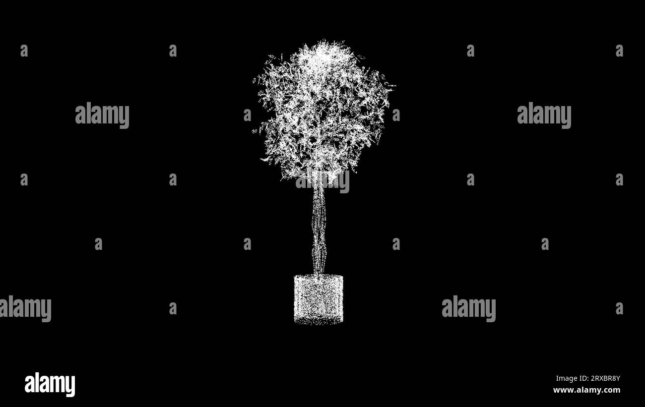 L'albero ornamentale 3D in un vaso ruota su sfondo nero. Design e piante. Progettazione di impianti. Sfondo pubblicitario aziendale. Per titolo, testo, prendere Foto Stock