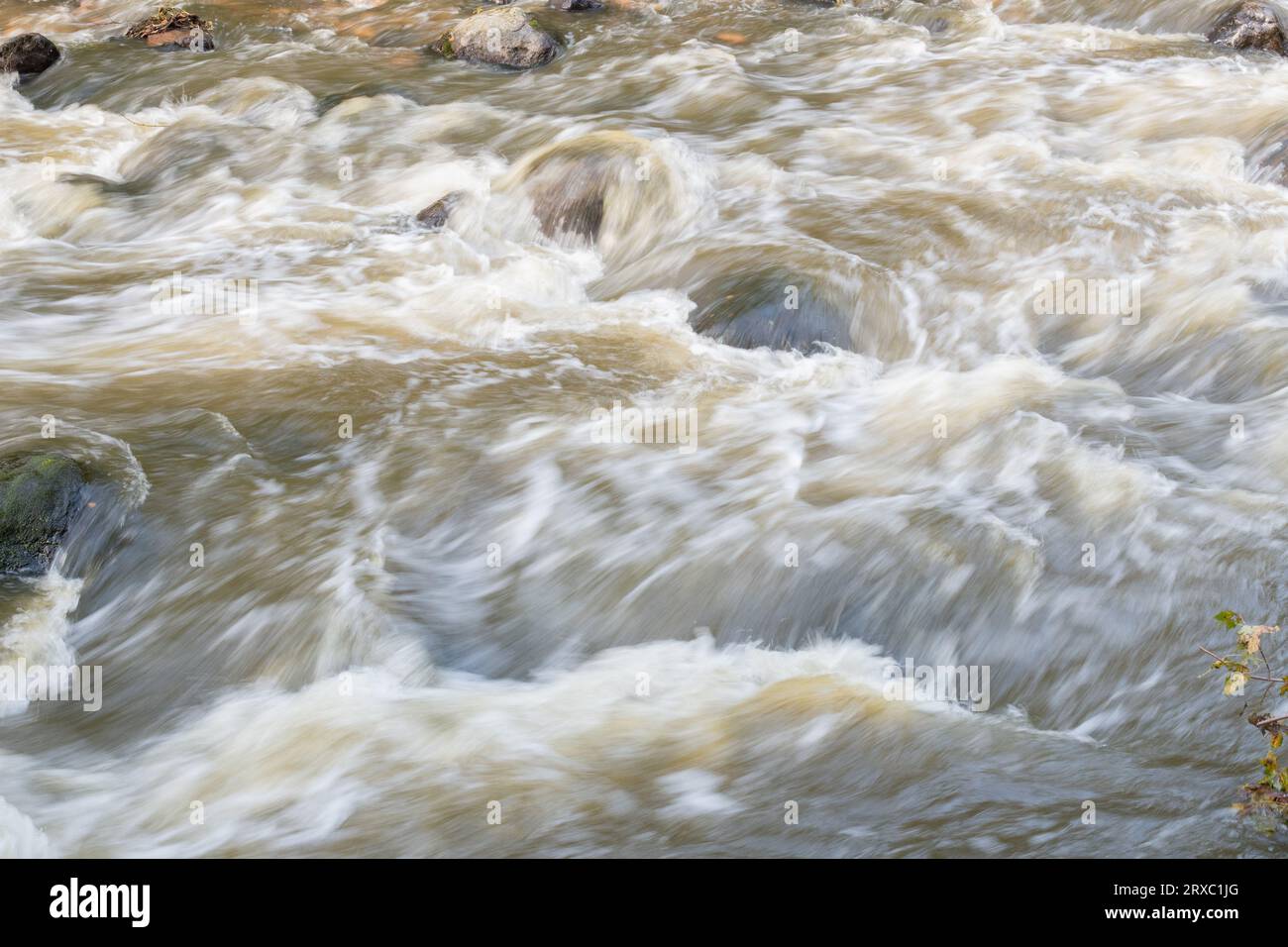 Rapide di acqua bianca Foto Stock