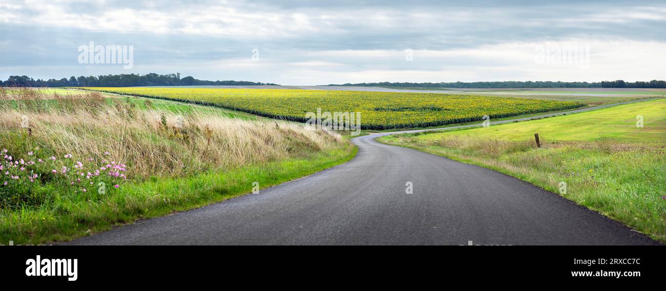 campagna nel parc national des forets con campi e girasoli Foto Stock