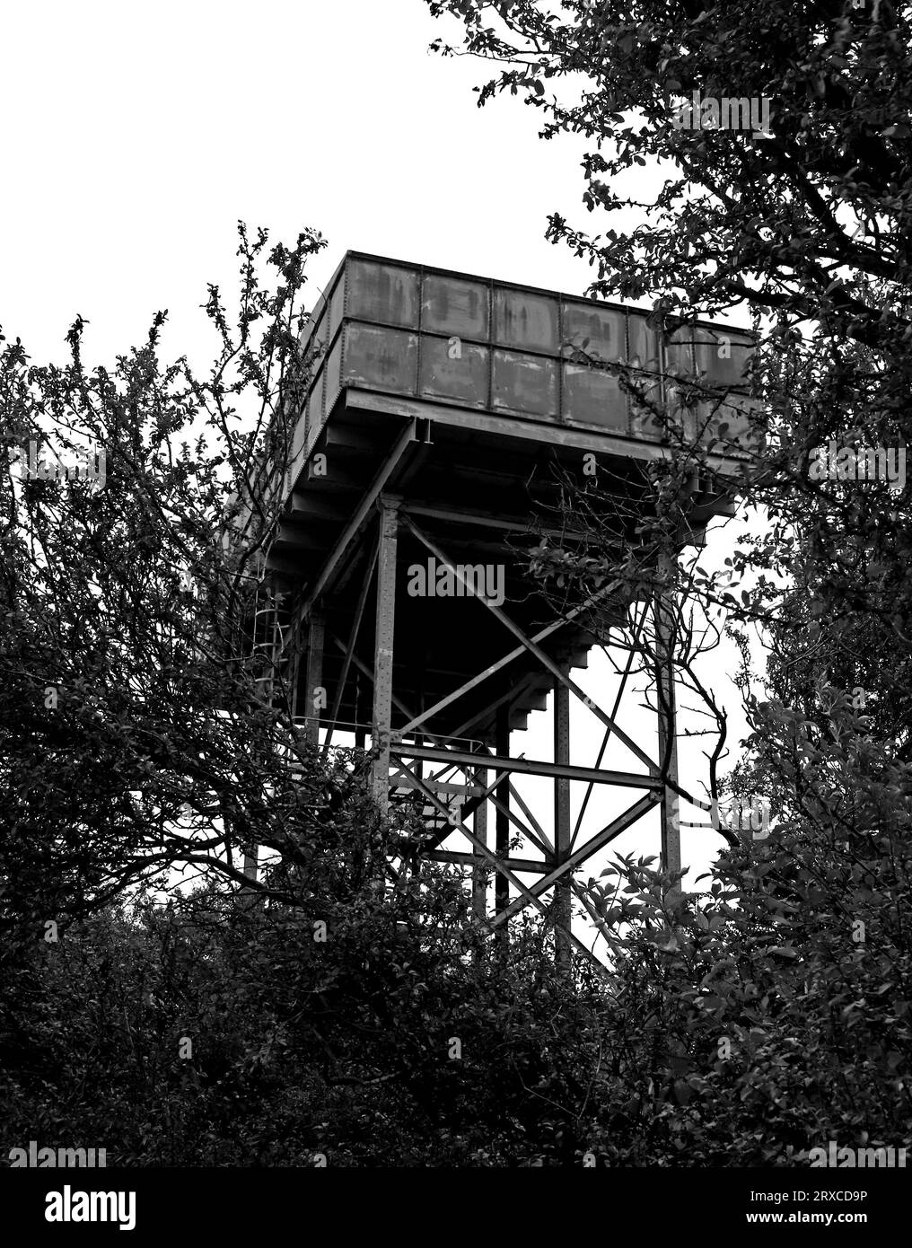 I serbatoi di una vecchia torre d'acqua in metallo si trovano in alto sopra gli alberi nella campagna northumbriana nel villaggio di Tranwell, vicino a Morpeth. Foto Stock