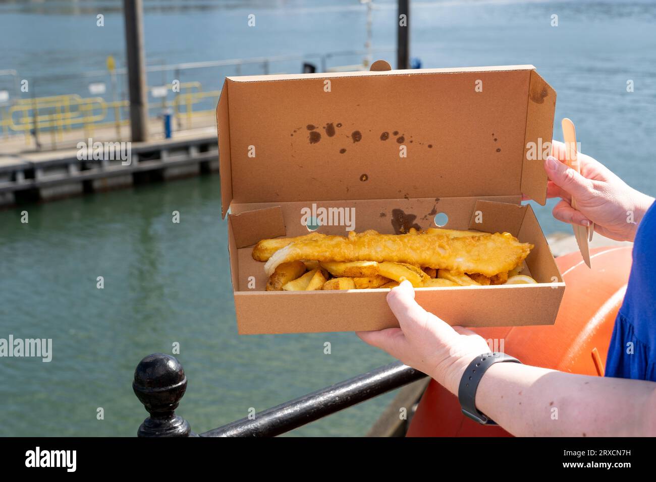 Grande porzione di fish and chips dalla città costiera di Dartmouth Foto Stock