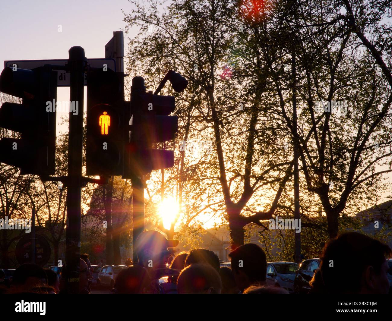 Semaforo pedonale rosso tramonto. Roma, Italia Foto Stock