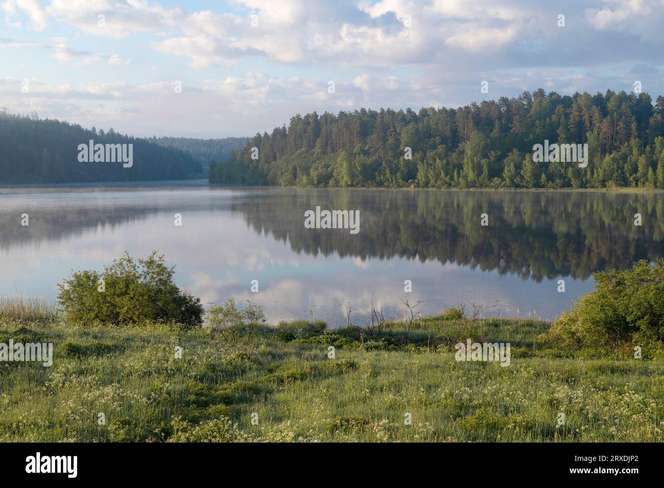 La mattina presto di giugno sul lago Ladoga. Carelia, Russia Foto Stock