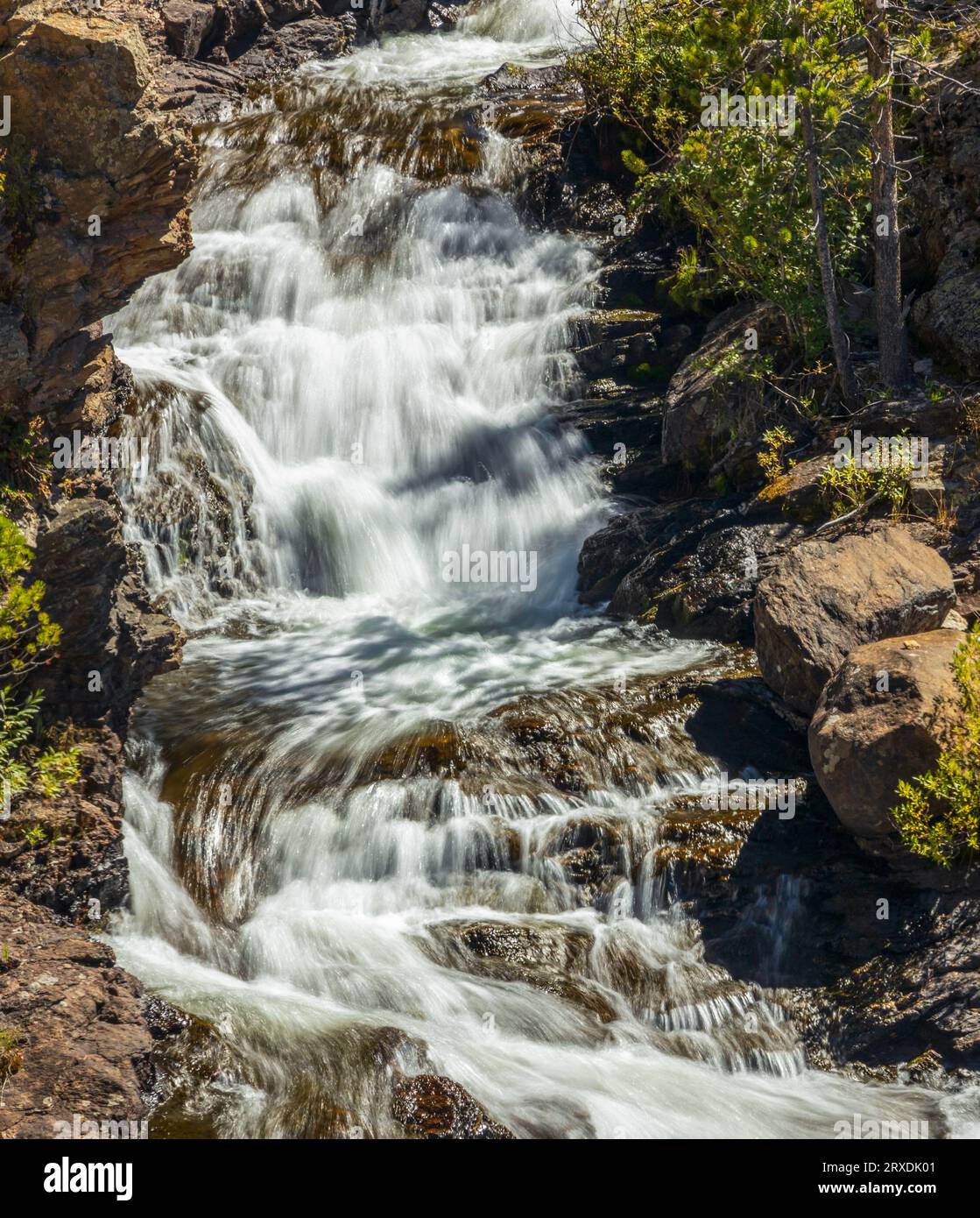 Adams Falls lungo l'East Inlet Trail del Rocky Mountain National Park, Colorado Foto Stock