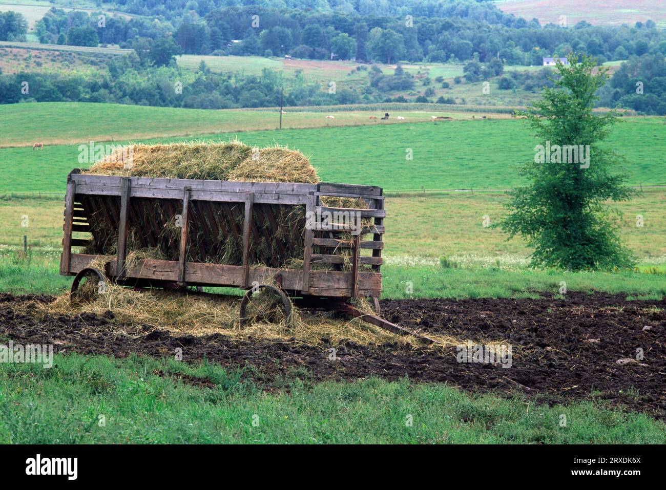 Hay wagon, Tioga County, Pennsylvania Foto Stock