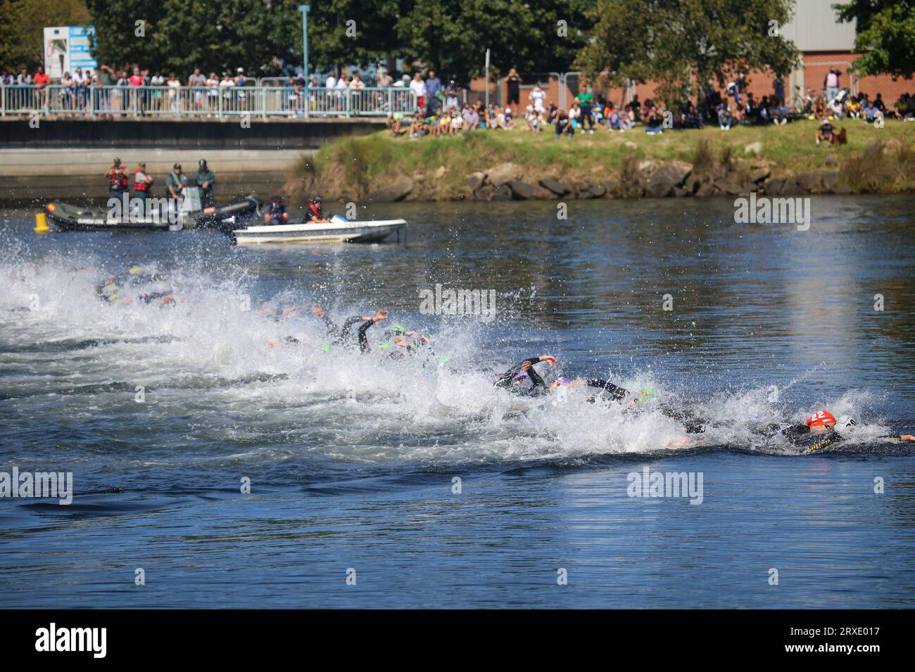 Pontevedra, Spagna. 24 settembre 2023. Pontevedra, Spagna, 24 settembre 2023: Triatleti nella sezione nuoto durante i Campionati del mondo di triathlon femminile U23 2023, il 24 settembre 2023, a Pontevedra, Spagna. (Foto di Alberto Brevers/Pacific Press) Credit: Pacific Press Media Production Corp./Alamy Live News Foto Stock