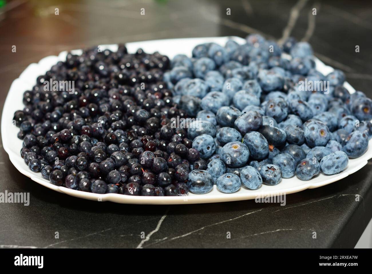 Mirtilli e mirtilli sul piatto bianco. I mirtilli rossi maturi sono più piccoli e più scuri dei mirtilli. Foto Stock