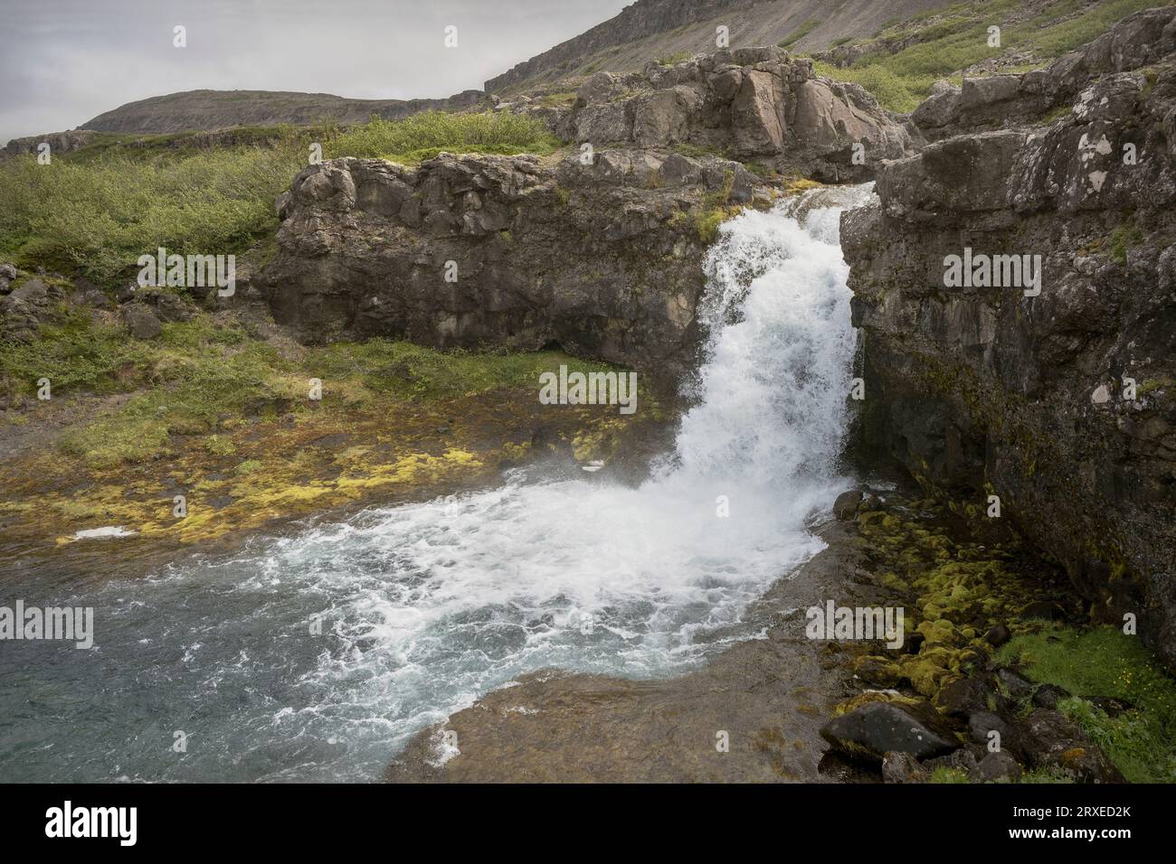 La cascata Gongumannafoss in Islanda scende drammaticamente su una scogliera verticale circondata da vegetazione tundra con un cielo nuvoloso sullo sfondo Foto Stock
